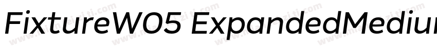 FixtureW05 ExpandedMedium Regular字体转换